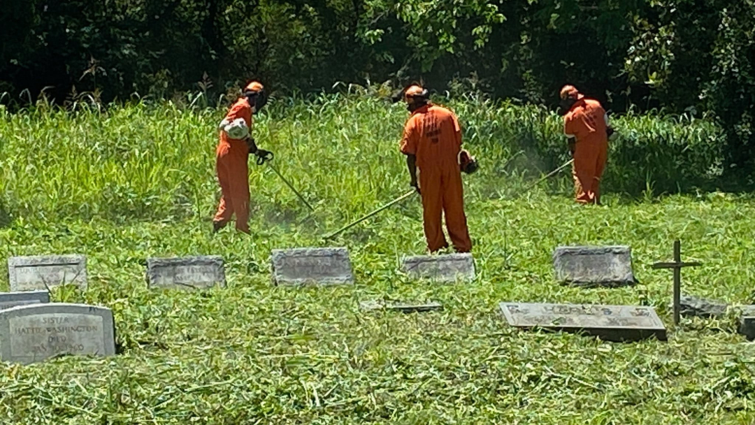 HSO-Bassette-cleanup-1