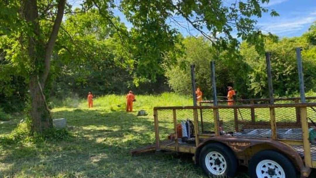 HSO-Bassette-cleanup-12