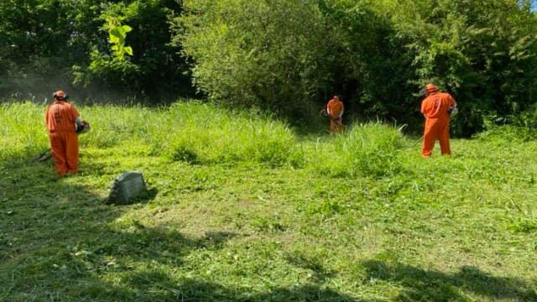 HSO-Bassette-cleanup-15