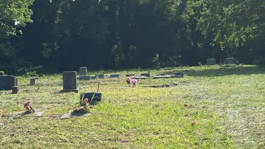 HSO-Bassette-cleanup-18