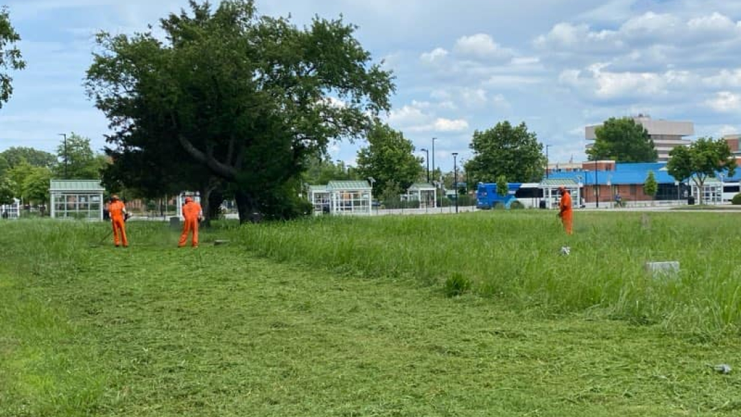 HSO-Bassette-cleanup-19