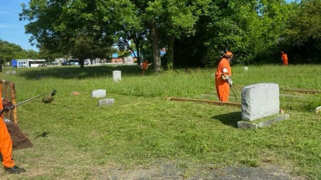 HSO-Bassette-cleanup-5