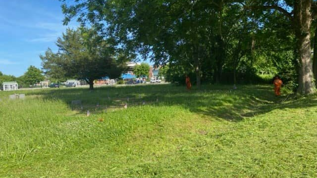 HSO-Bassette-cleanup-7